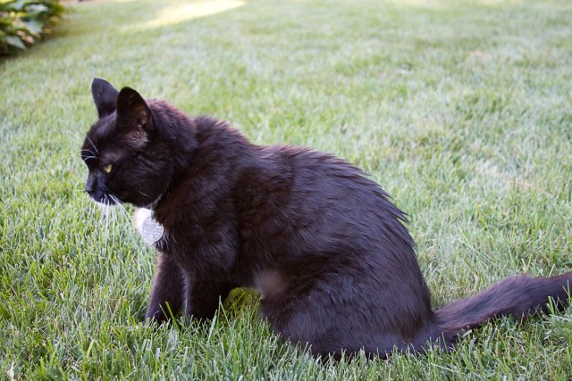 Emma_2008-07-12_0009